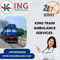  King Comes With a Ready Transit Plan in Delhi in a Train Ambulance