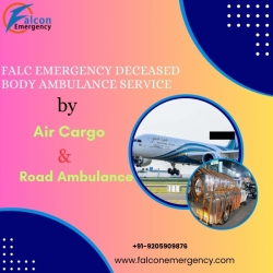 FALC Emergency Never Left You Confused or Waiting during Transit by Air Cargo in 